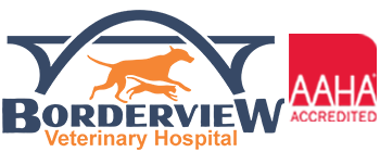 Borderview Veterinary Hospital